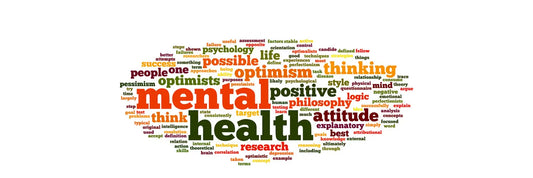 Mental Health at Fenico